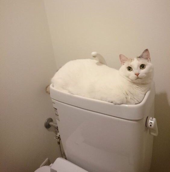 cAph7ClRPW0.jpg