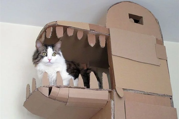 cardboard_cat_01.webp