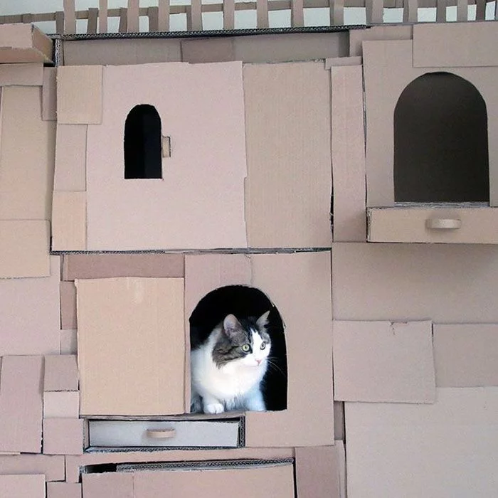 cardboard_cat_04.webp