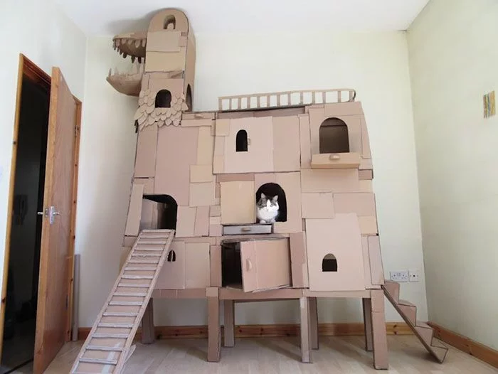 cardboard_cat_05.webp