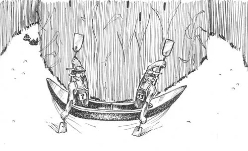 cart3.webp