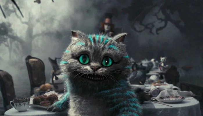 cat-alice.jpg