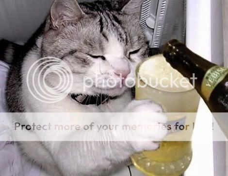 cat-beer-03.jpg