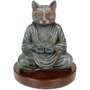 cat+buddha.webp