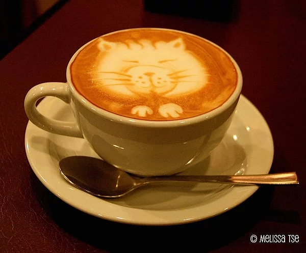 Cat-Coffee-Art-Caturday-1.webp