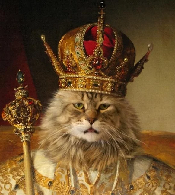 cat-korol.webp