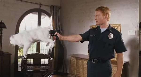 Cat-Suppressor-From-Movie-Postal.webp