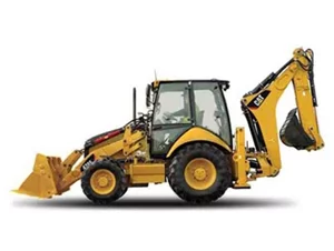 cat.webp