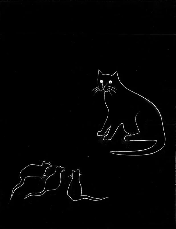 cat4.webp