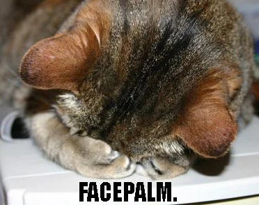 cat_FACEPALM.webp