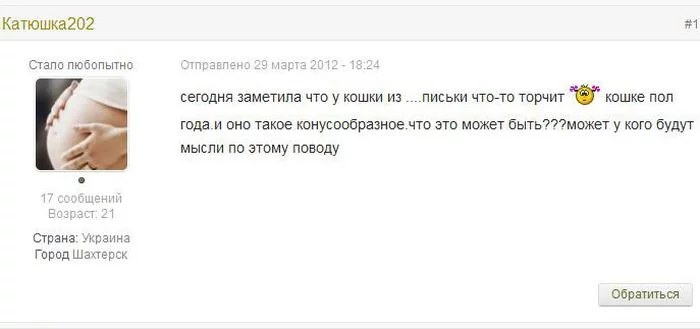 cat_forum_01.webp