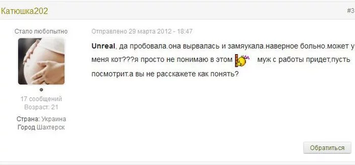 cat_forum_03.webp