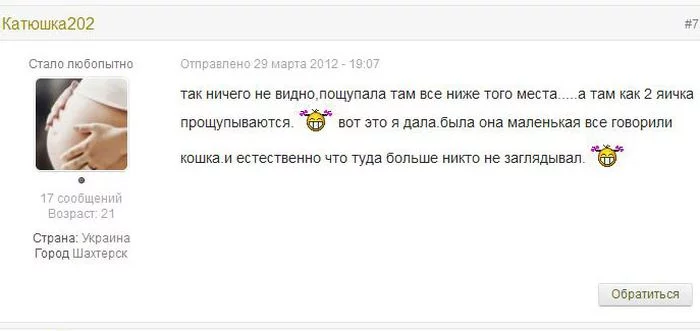 cat_forum_07.webp