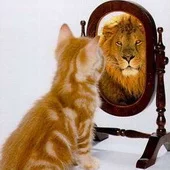 cats-124.webp