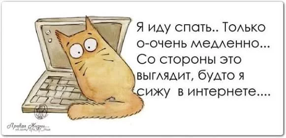 cb0cja.webp