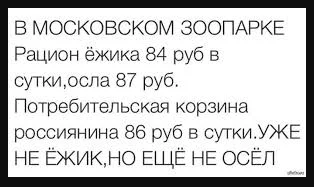 cb0dfb.webp