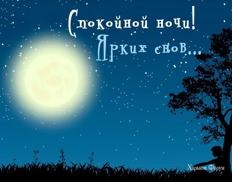 cb2170a17376ae042d9.webp