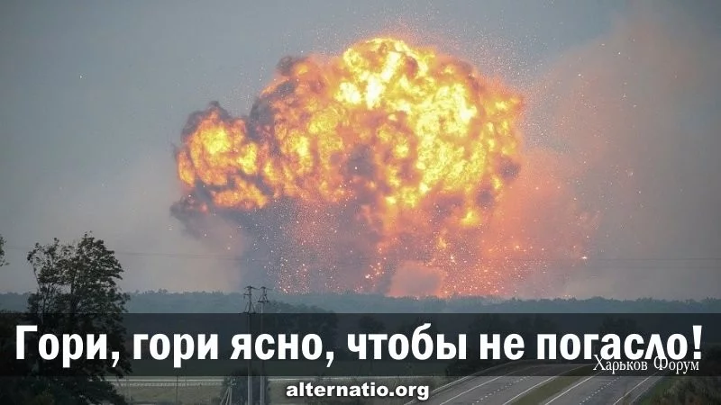 cb3988e82920c3a7b7c.webp