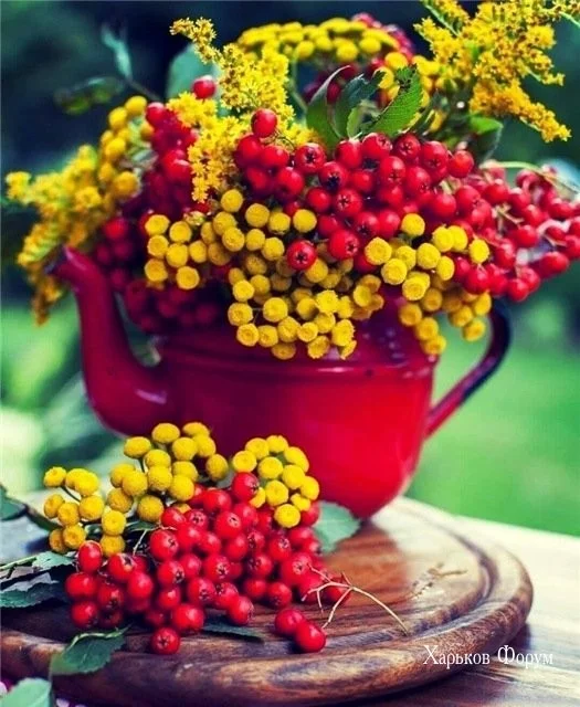 cb6d3341bb00dd1cdd6aa.webp
