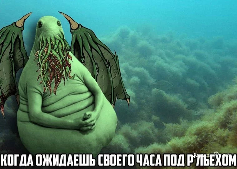 cb6f72d0599a9928f4.webp