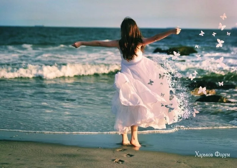 cb755a46bbfe220ee.webp