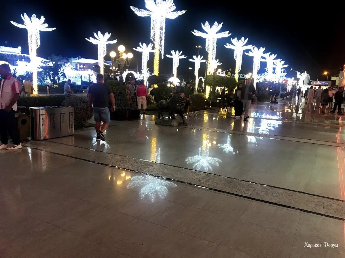 cb9876e116af922fb3d5.webp