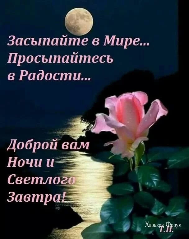 cbaf30f062465d99.webp