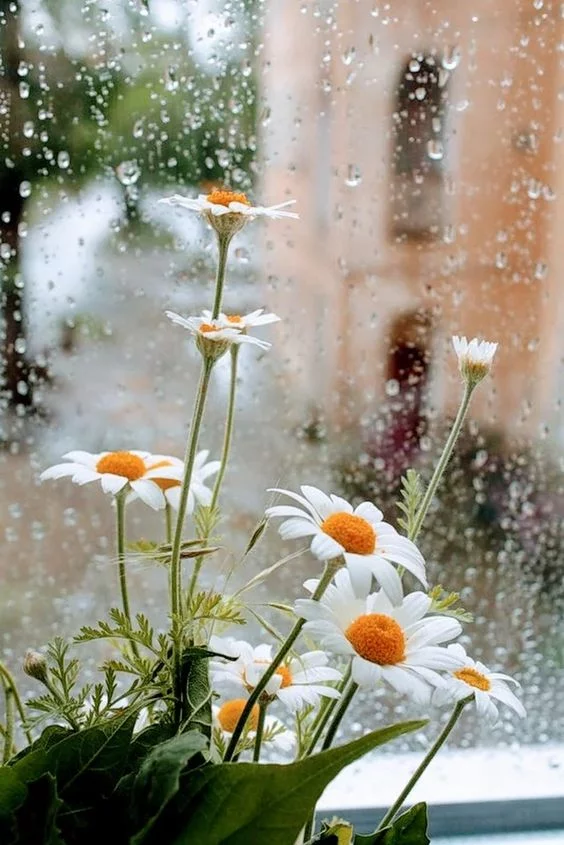 cbah7d.webp