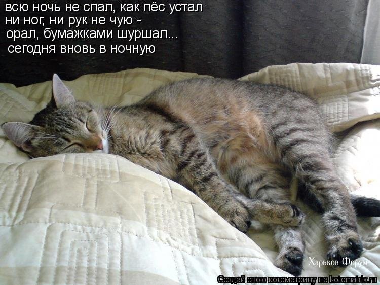 cbb10ae6e90b0df0.jpg