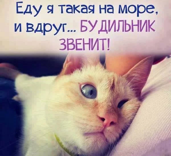 cbb5ae.webp