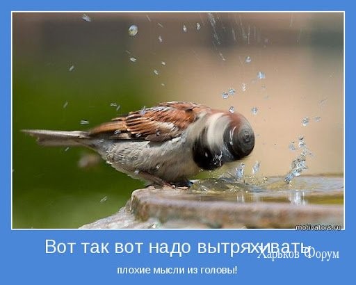 cbc2fae4ed4c3ee042e558fa.jpg