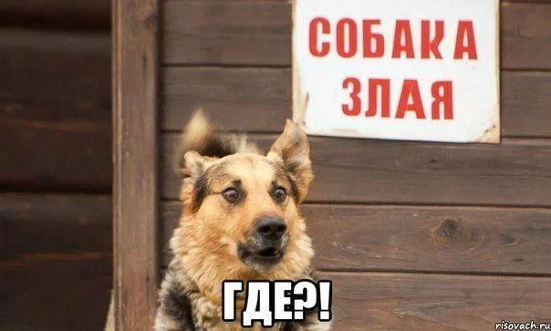 cbc3eb.webp