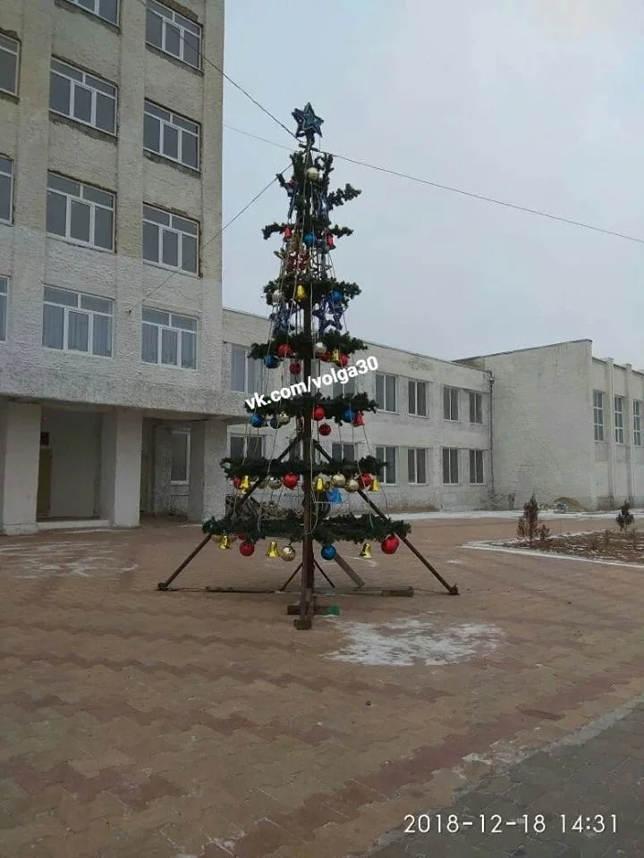 cbced6.webp