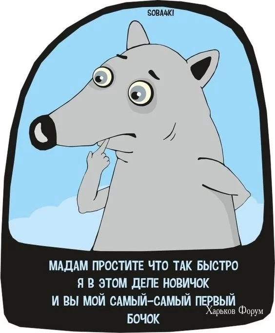 cbf58e919b1b77780b73586.webp