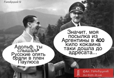 cbg4bf.webp