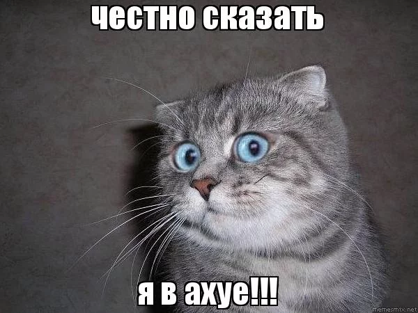 cbg5ea.webp