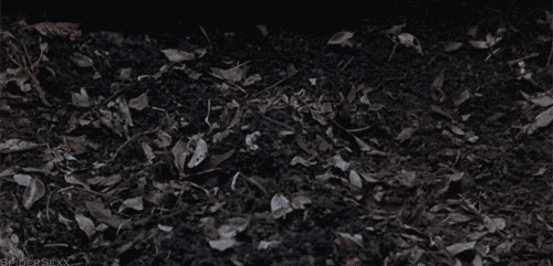 cbga2b.gif