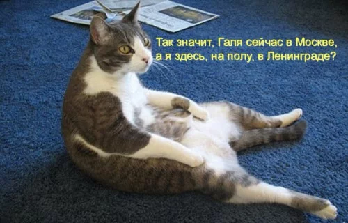 cbga4h.webp