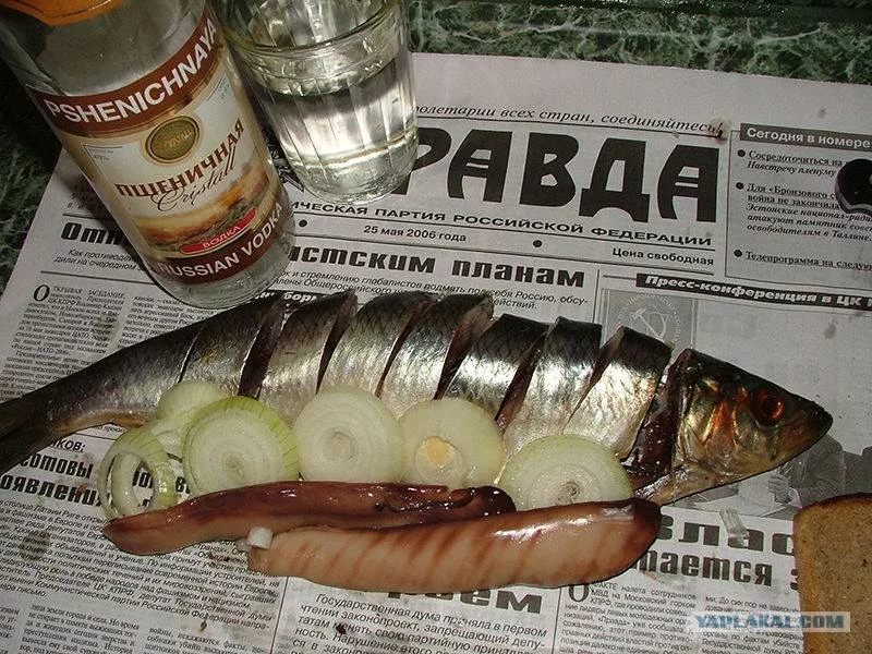 cbje1h.webp