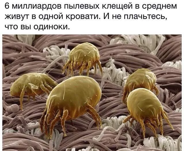 CbwzU9VW8AAk4Jb.webp