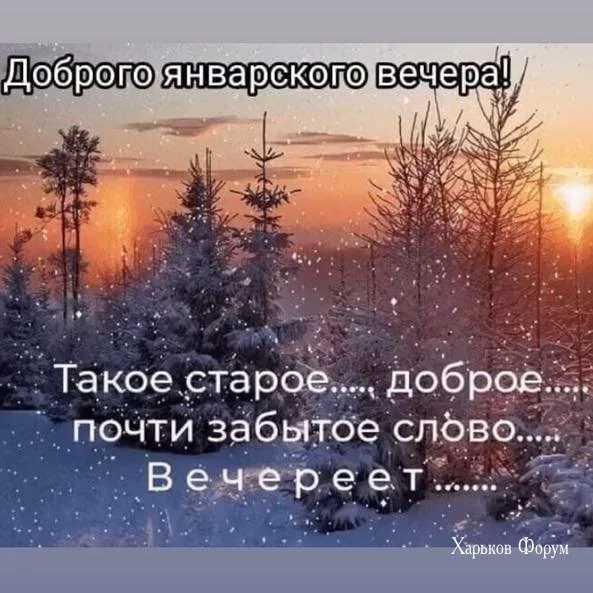 cc0bc68798ac994c807.webp