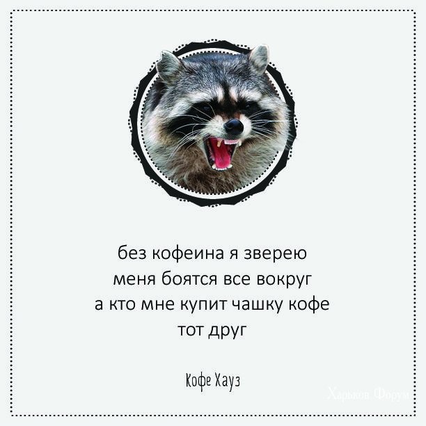 cc15befc1aa44bb3ca438b.jpg