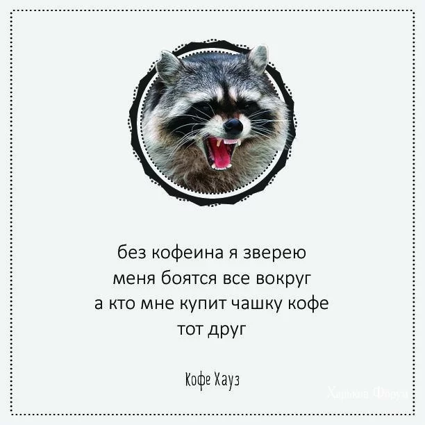 cc15befc1aa44bb3ca438b.webp