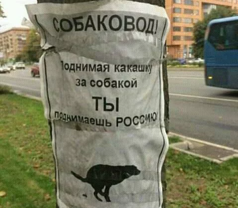 cc1hge.webp