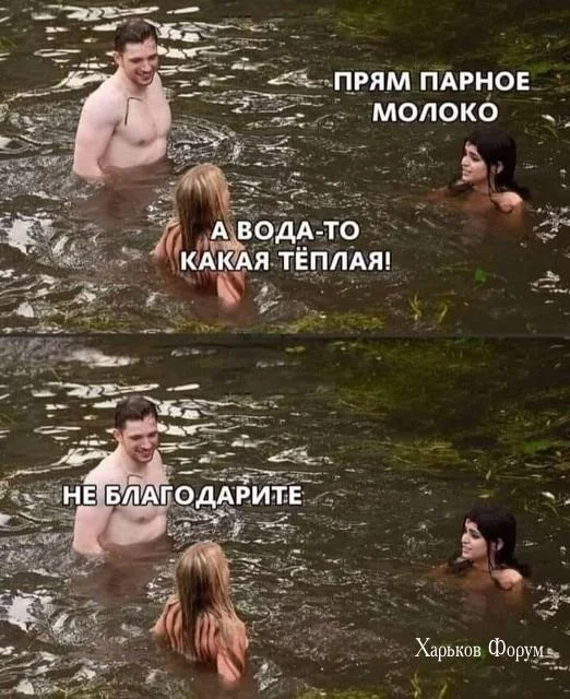 cc2e82f936a377220.webp