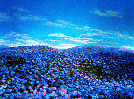 cc30c54c21bc536c3487b354a7bc6866cc5dd5f2.gif
