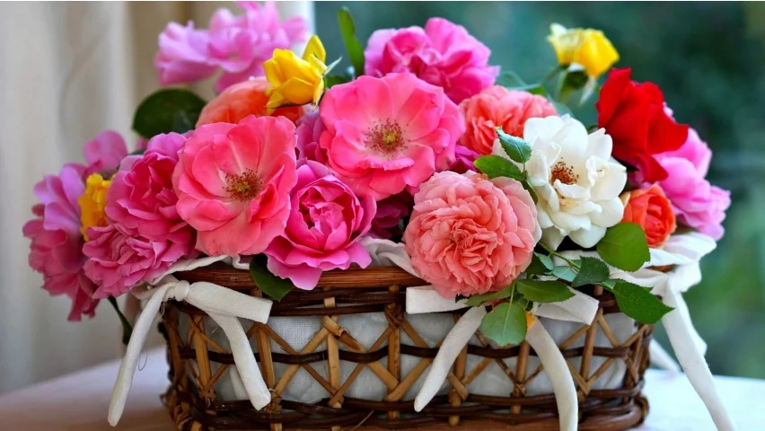 cc3gbg.webp