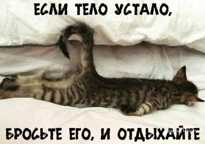 cc49a58a86c1cf366.webp
