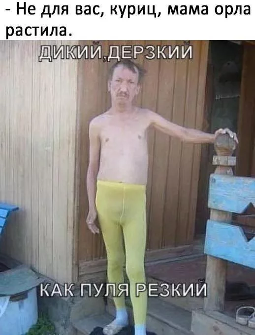cc4fcg.webp