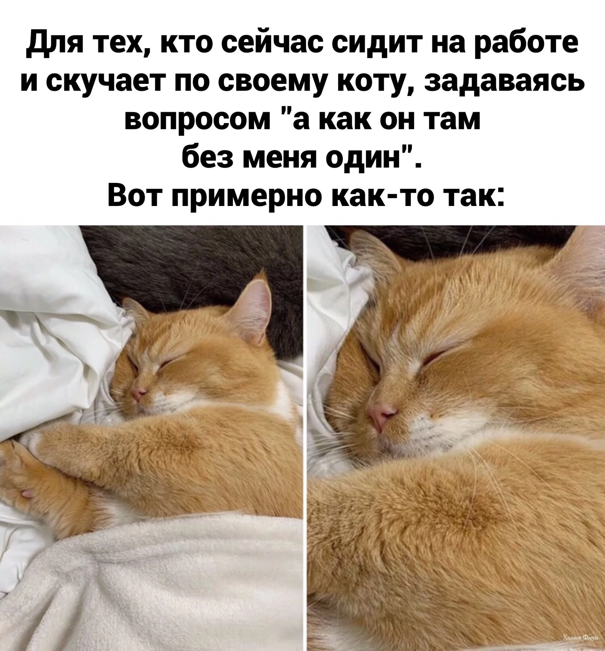 cc50043c83db67987252.webp